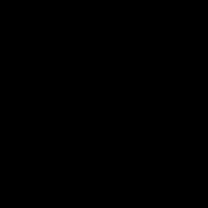 Meet your Posher, Alisha